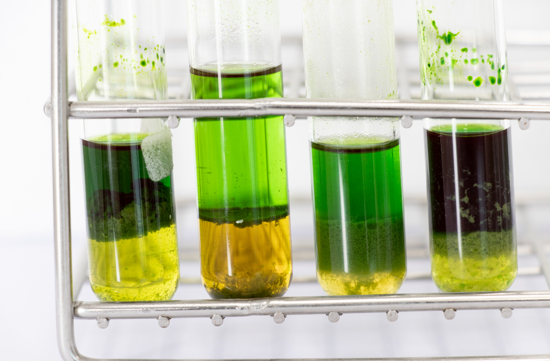 Olive Oil Ingredients